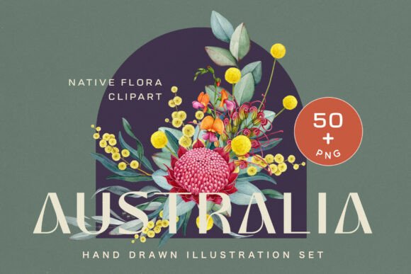 Download Australia Flora Watercolor Clipart - Watercolor Collection