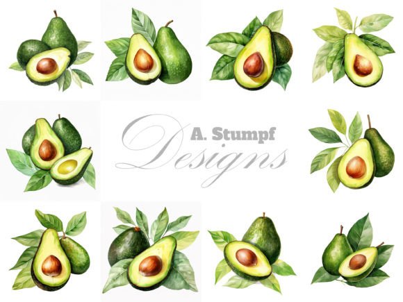 Download Avocado Watercolor Fruit Clipart Set - Watercolor Collection
