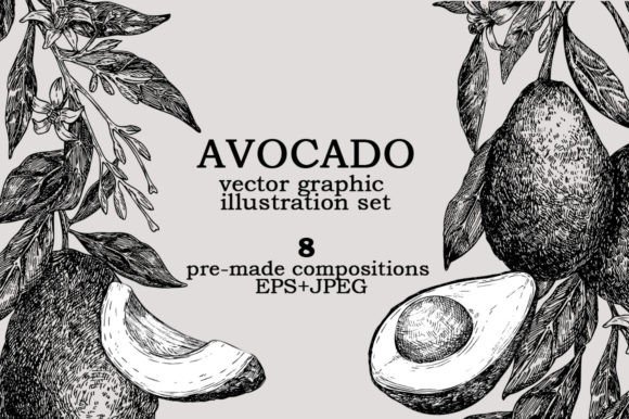 Download Avocado Vector Graphic Illustration Set - Vector graphic Collection
