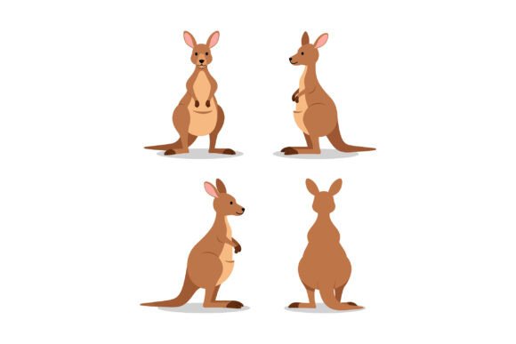 Download Kangaroo Vector Illustration in Four Dif - Premium Resources